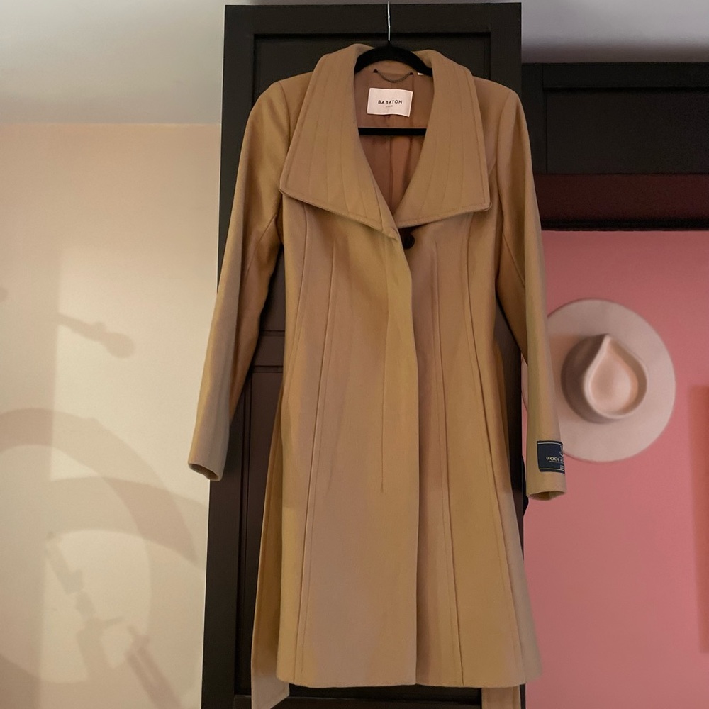 Wool Aritzia Jacket